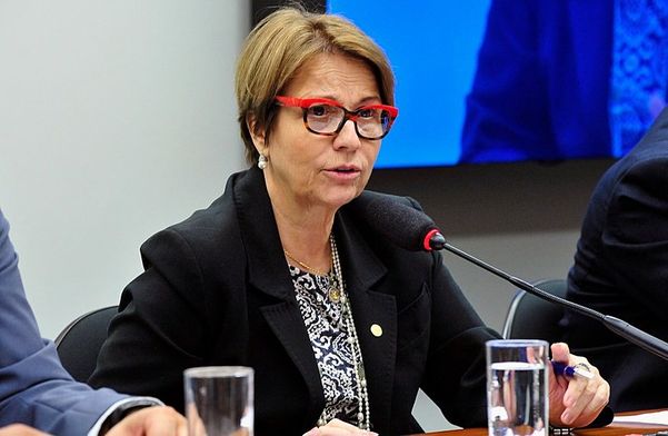 Ministra da Agricultura do governo de Jair Bolsonaro (PSL), Tereza Cristina, 