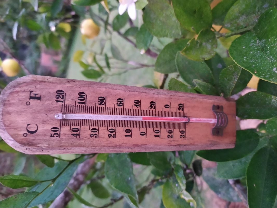 Uma das cidades mais frias do Estado, santa Teresa também registrou baixas temperaturas
