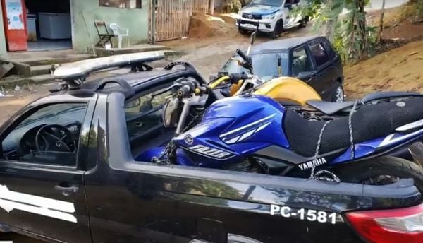 Produtos apreendidos pela polícia em operação 