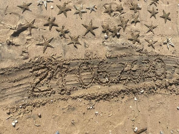 Estrelas-do-mar são encontradas mortas na Praia de Camburi, em Vitória por Michele da Silva Caliman 