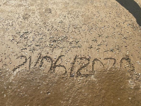 Estrelas-do-mar são encontradas mortas na Praia de Camburi, em Vitória por Michele da Silva Caliman 