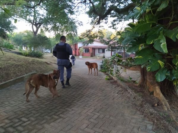 Armas apreendidas durante operação em Guarapari por Divulgação/Sesp