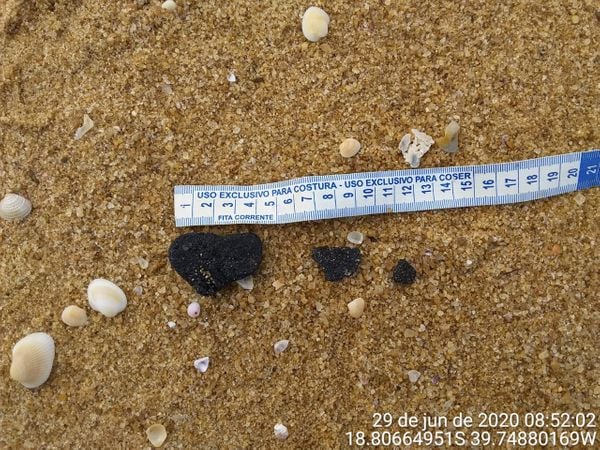 Fragmentos foram encontrados em Guriri, litoral Norte do Espírito Santo 