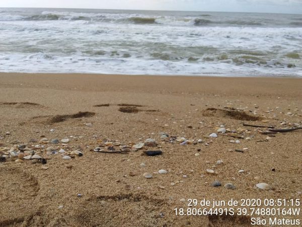 Material foi encontrado na praia de Guriri