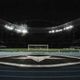 Imagem - Botafogo e Palmeiras reduzem chances de título no Brasileirão; Grêmio dispara