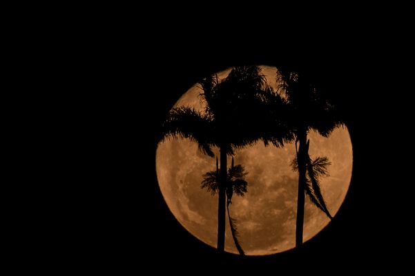 Vila Velha - ES - Lua cheia com Convento da Penha por Vitor Jubini