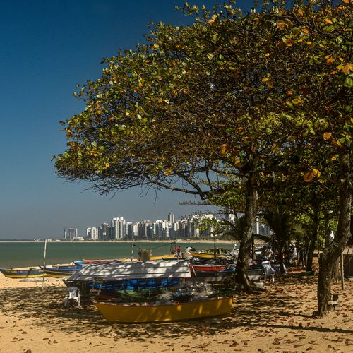 Coronavírus em Vila Velha: raio-x da cidade com mais casos no ES