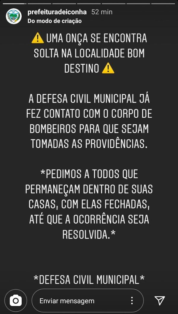 A Defesa Civil de Iconha e a Prefeitura alertaram os moradores sobre a presença do felino na região