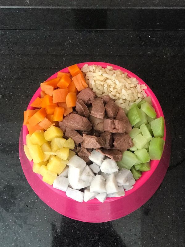 alimentação natural pra pet