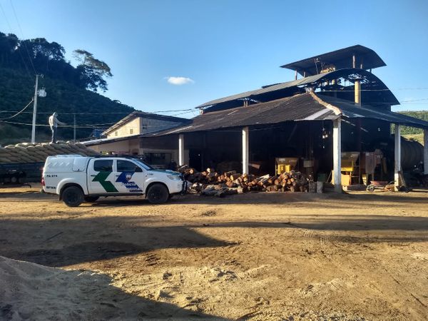 Após denúncia, Polícia Ambiental flagra desmate de 25 hectares em Nova Venécia