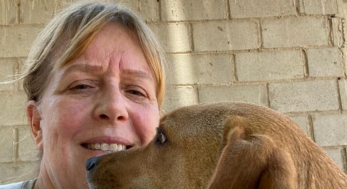 Graças a vários projetos, sem fins lucrativos, essas mulheres resgatam muitos cães e gatos das ruas. Debilitados, eles são tratados, castrados e ficam em abrigos até ganharem uma família. Mas até isso acontecer a luta é grande e depende de doações