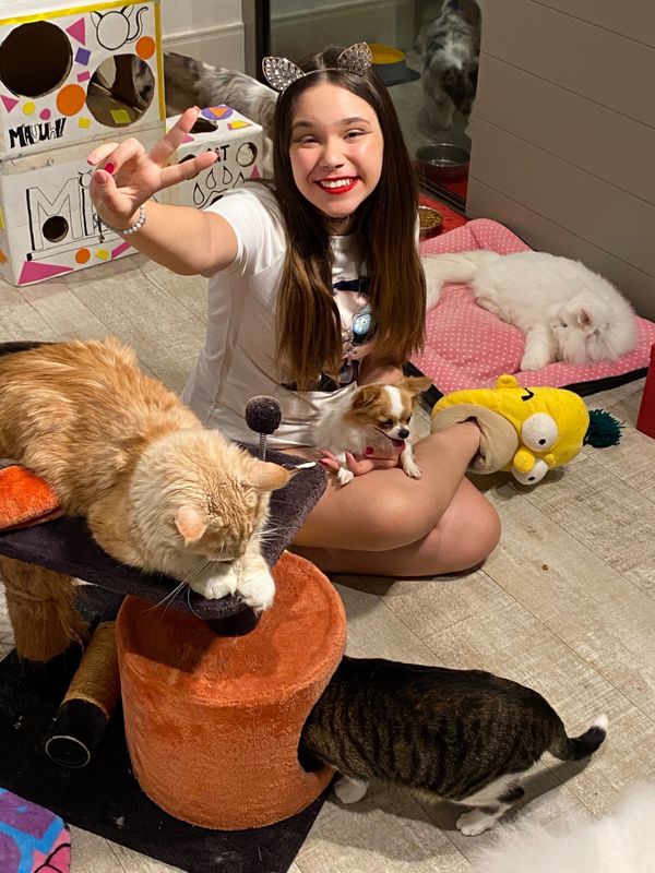 A youtuber Catarina Dantas investiu na ambientação e tem dois quartos para seus pets. Um para os 9 gatos e outro para os 10 cachorros