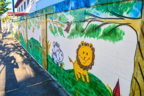 Ceim Chapeuzinho Vermelho, bairro Interlagos, Linhares