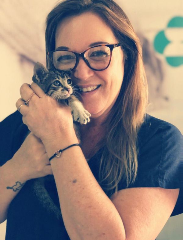 Veterinária Helvana Fassina fala sobre ambientação para pets