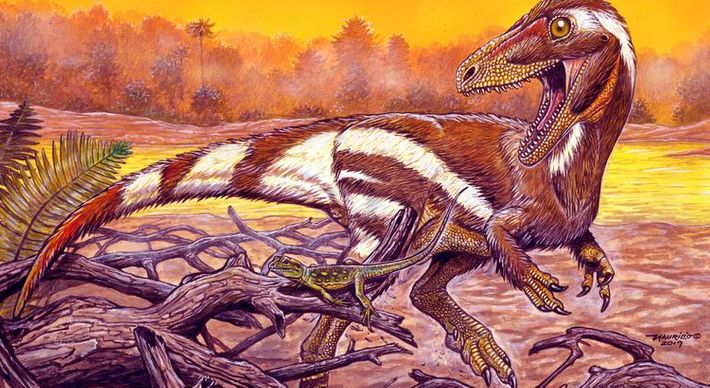 Aratasaurus museunacionali ganhou esse nome em homenagem ao Museu Nacional. Carnívora, a nova espécie viveu na região onde hoje é o Estado do Ceará