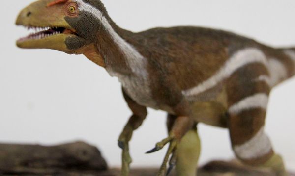 Como seria o Aratasaurus museunacionali, mais novo dinossauro cujos fósseis foram encontrados no Ceará