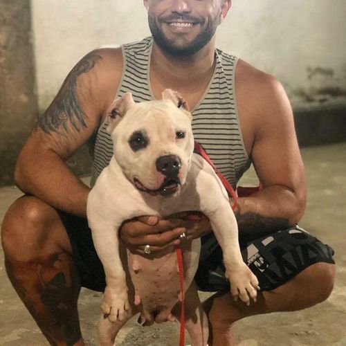 Empresário do ramo de auto-peças em Cariacica era aluno e estava com um instrutor na hora do acidente. Ele caiu na mata e não resistiu as ferimentos