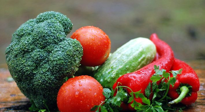Projeto da Suzano no Estado, lançado no fim de abril, já gerou receita bruta de R$ 112 mil com a venda dos produtos da agricultura familiar
