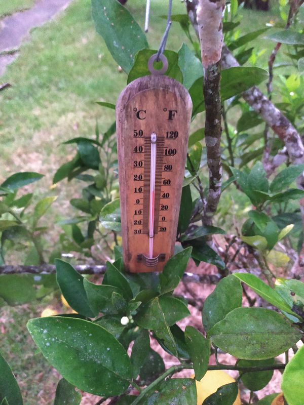 O morador Everton Moreira registrou 9 °C no interior de Santa Teresa na manhã desta quinta-feira (16)