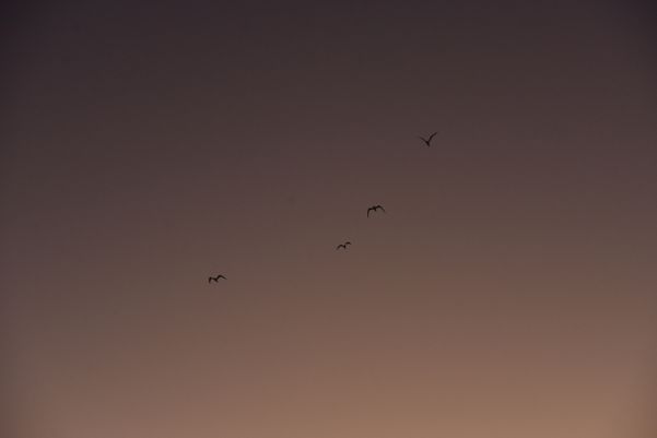 Vitória - ES - Entardecer no canal de Camburi. por Vitor Jubini