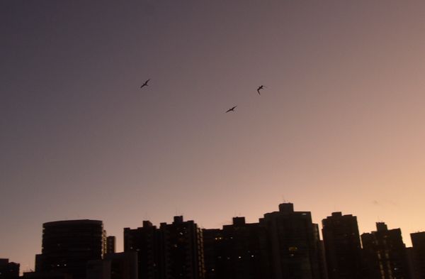 Vitória - ES - Entardecer no canal de Camburi. por Vitor Jubini