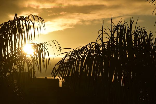 O belo amanhecer na Serra por Ricardo Medeiros