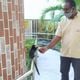 Imagem - Vídeo: macacos são vistos em condomínio de Itapoã, em Vila Velha