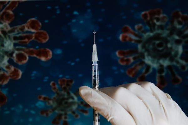 Diferentes grupos de pesquisadores tentam obter vacina contra o novo coronavírus