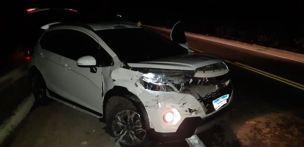 Operação conjunta da PF e da PRF prendeu um homem e apreendeu um veículo roubado e 34 tabletes de maconha na BR 262, em Ibatiba