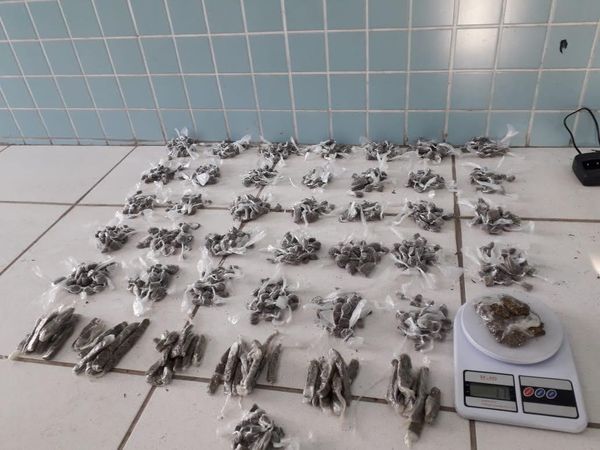 Material apreendido na Operação Patrem em 30 de julho