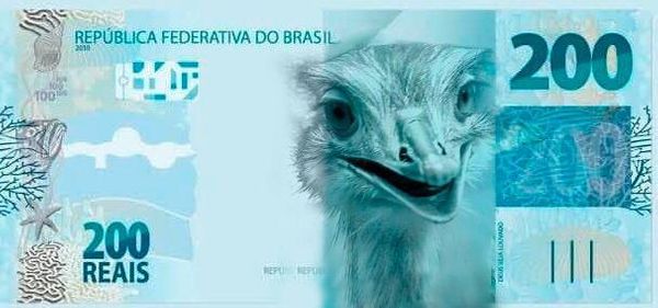 Nova nota de R$ 200: com a imagem da ema  por Reprodução/Twitter