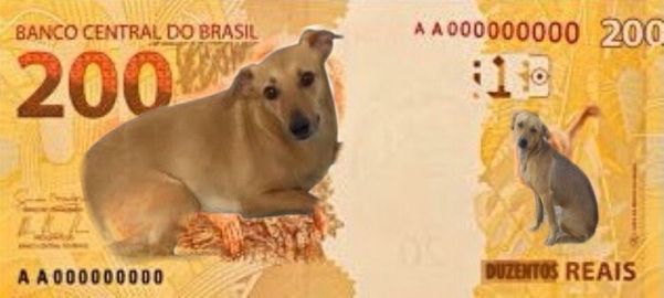 Nova nota de R$ 200: com a imagem da vira-lata caramelo por Reprodução/Twitter