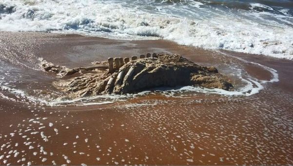 Carcaça de baleia é  encontrada Pontal do Ipiranga, litoral de  Linhares
