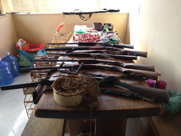 Polícia Ambiental apreende armas, munição, pássaros e caças abatidas em Linhares