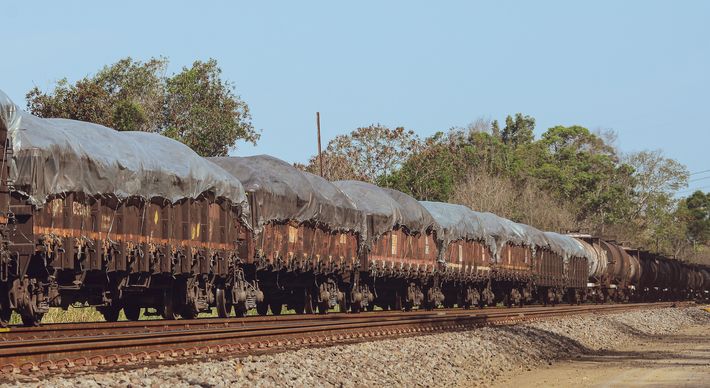 Oportunidades são para trabalha no porto, ferrovia, indústria, entre outras áreas; interessados devem ter nível superior e ficar atento ao prazo de inscrição