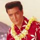 Imagem - Violão de Elvis Presley é leiloado por R$ 7 milhões e bate recorde