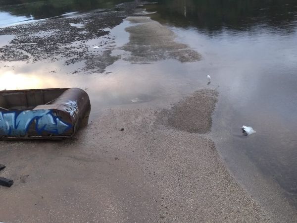 Arraias foram encontradas mortas em baixo da Ponte de Camburi, em Vitória por Eduardo Lino / Internauta 