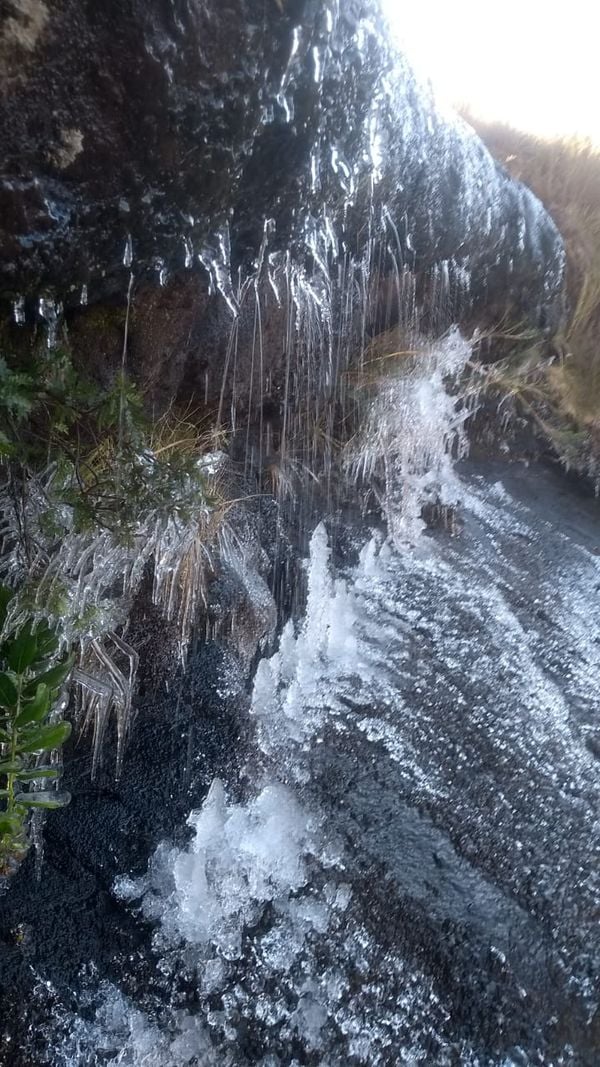 Guia mostra gelo formado durante frio intenso no Parque Nacional do Caparaó por Arquivo pessoal de Ivan Souza
