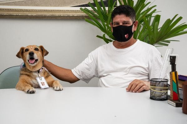 A cachorra Sesa Caramelo tem crachá e uma ficha institucional na Secretaria de Saúde da Serra e o Sebastião Cunha Torezani