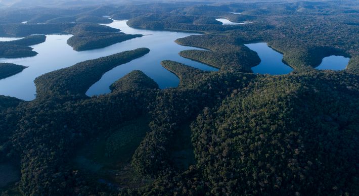 Responsável pela reparação dos danos causados pelo rompimento da barragem de Fundão, fundação também destinará recursos para educação no Espírito Santo