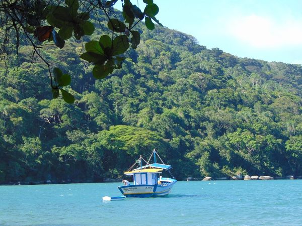 Ilha Grande é território preservado 