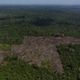 Área desmatada por grileiro na Terra Indígena Trincheira Bacajá, no Pará