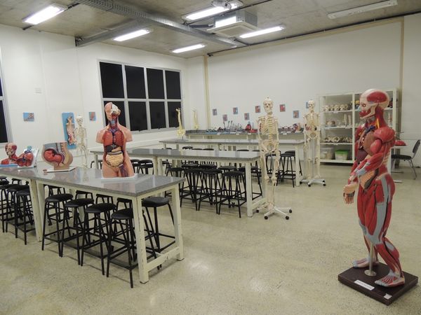 Laboratório de anatomia