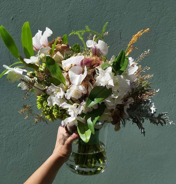 Planta na água por Divulgação