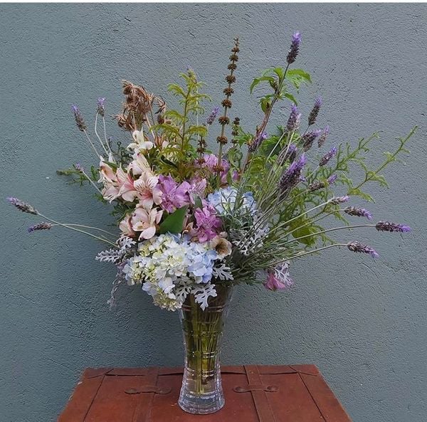 Planta na água por Divulgação