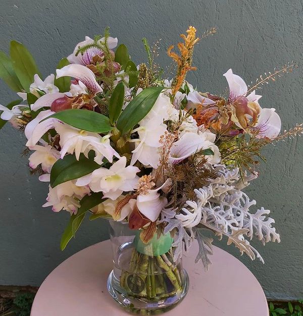 Planta na água por Divulgação