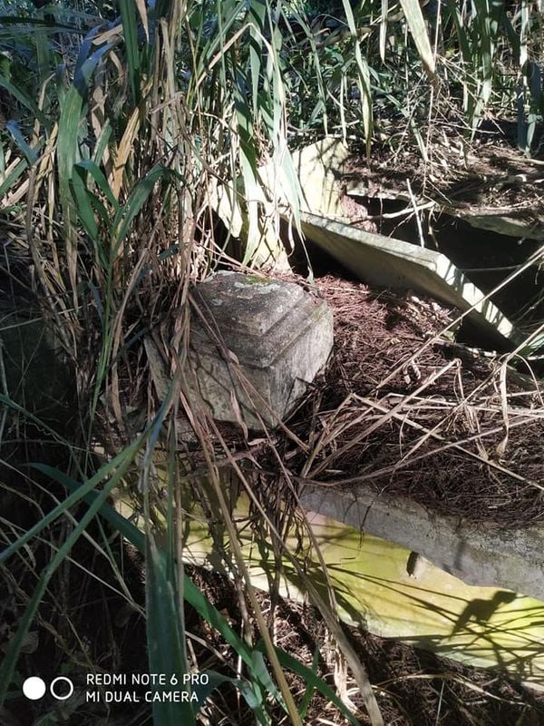Algumas sepulturas estão quebradas e encobertas pelo mato por Maria Celeste Pascini/Internauta