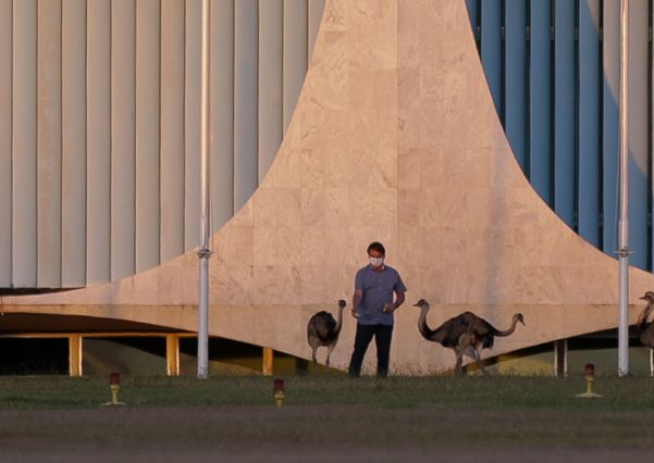 O presidente Jair Bolsonaro alimenta as emas no jardim do Palácio da Alvorada, em Brasí­lia