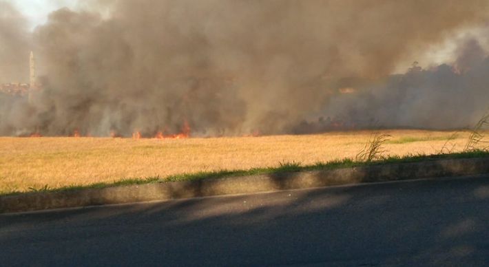 De acordo com informações do Corpo de Bombeiros, foi relatado incêndio em vegetação, com chamas altas. A ocorrência está em andamento e uma equipe está no local