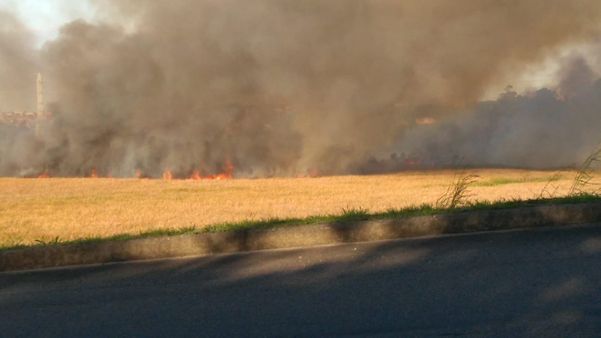Incêndio em área de turfa é registrado na Serra